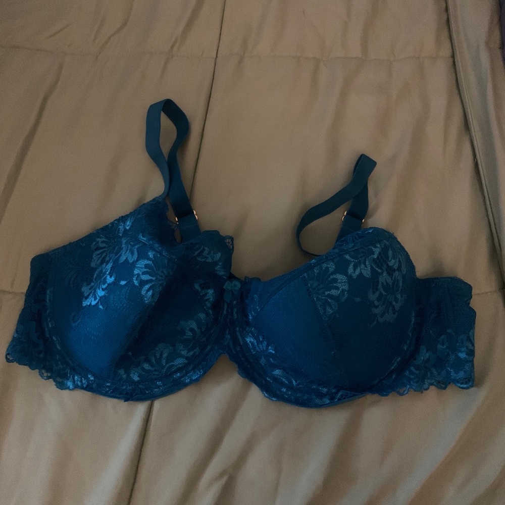 Hips & Curves Blue Bra 42D